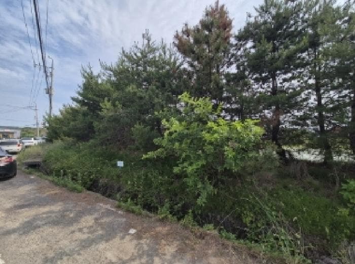 경상북도 포항시 남구 오천읍 세계리 641-2
