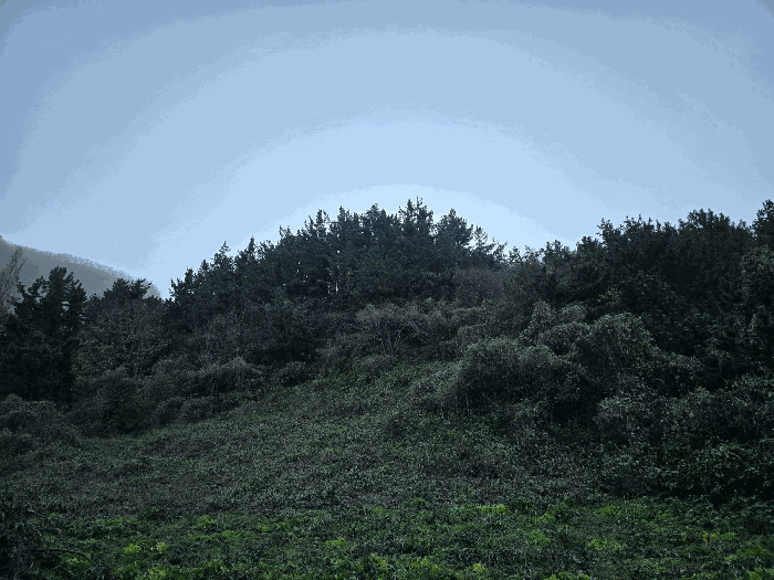 경상북도 울릉군 북면 현포리 828-31