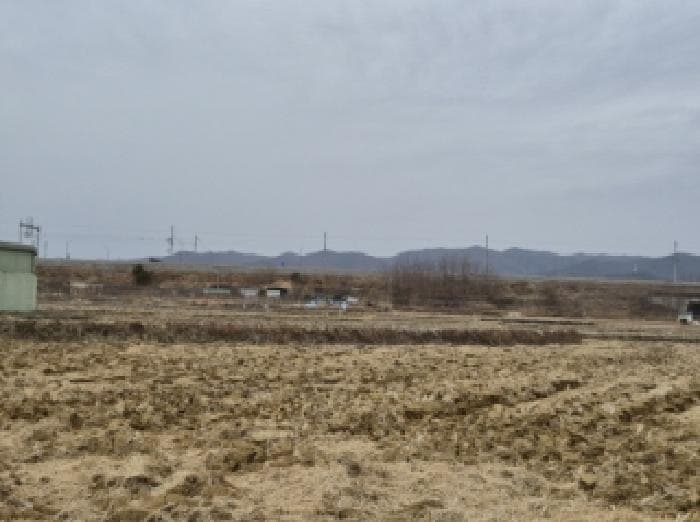 경상북도 포항시 북구 청하면 월포리 64