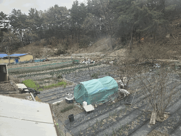 경상북도 포항시 북구 두호동 962