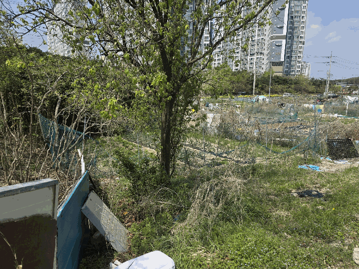 경상북도 포항시 북구 양덕동 363-5
