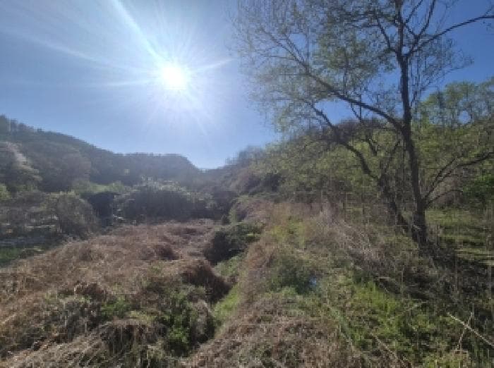 경상북도 포항시 남구 구룡포읍 석병리 511