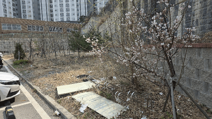 경상북도 포항시 북구 창포동 우현1지구토지구획정리지구28-1블록1로트
