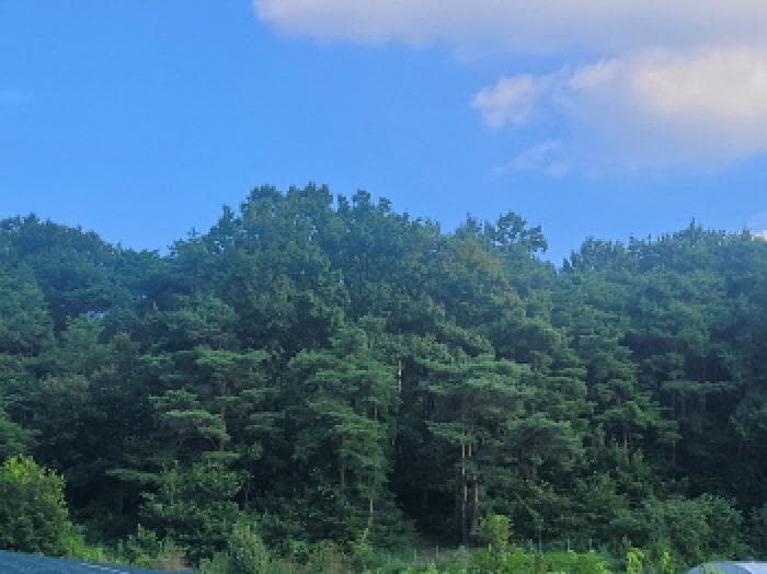 경상북도 성주군 월항면 유월리 산102