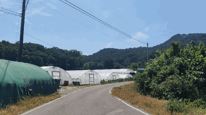 경상북도 성주군 초전면 자양리 633 주1동