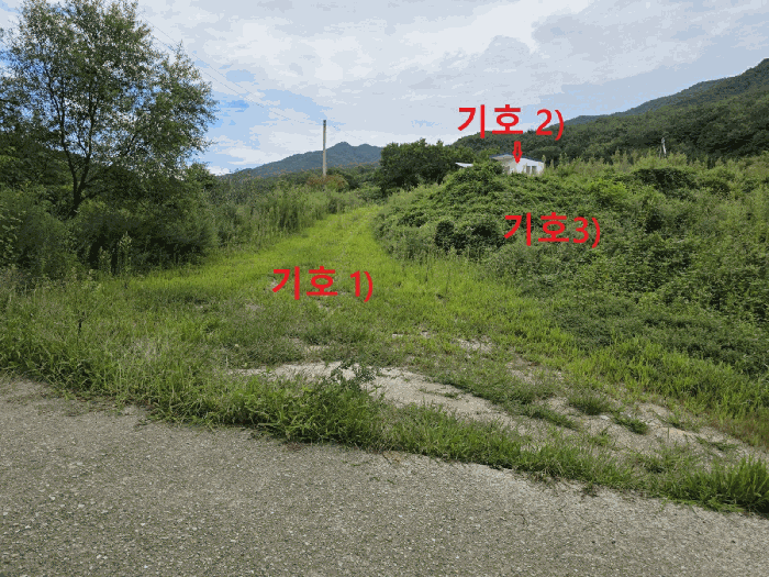 경상북도 성주군 초전면 월곡리 79 주1동