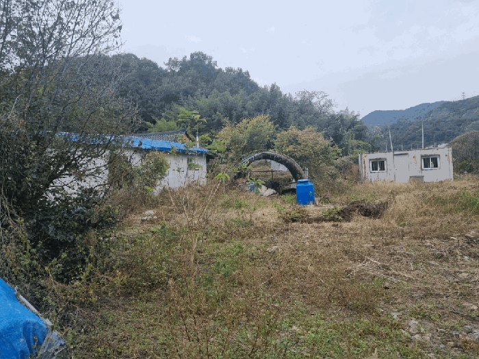 경상북도 고령군 성산면 용소리 311-2