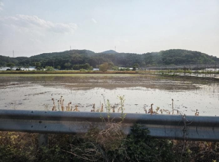 대구광역시 달성군 하빈면 기곡리 32