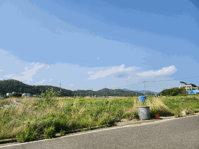 경상북도 성주군 성주읍 예산리 273