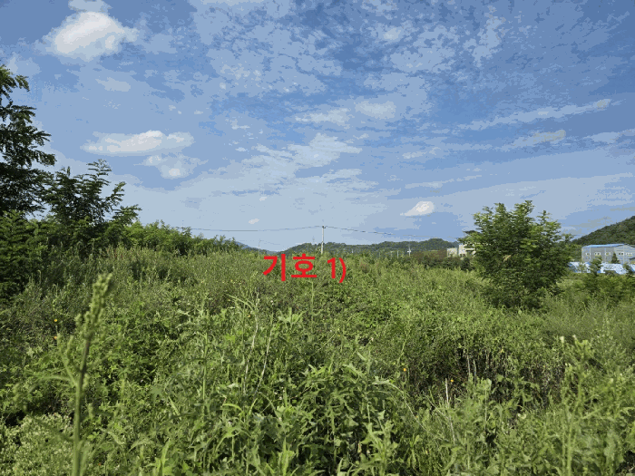 경상북도 성주군 성주읍 예산리 271-8