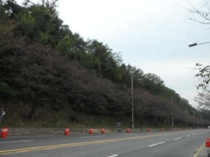 대구광역시 달성군 논공읍 북리 1-19