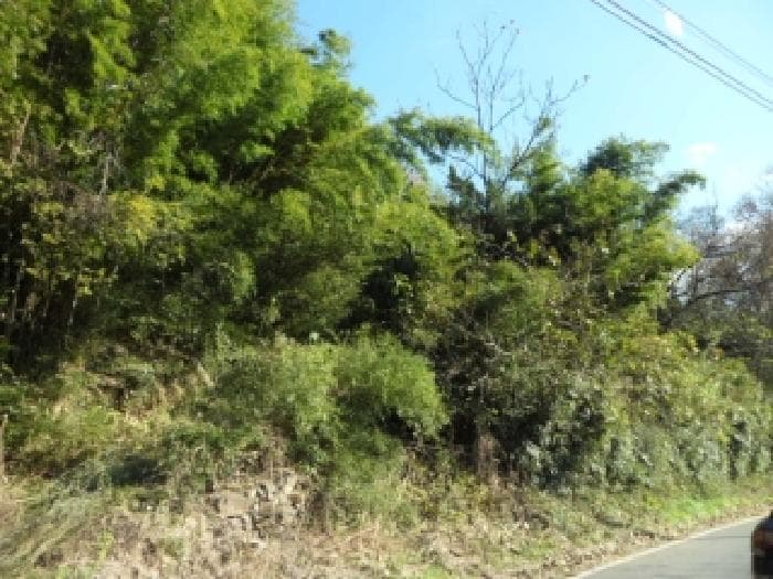 대구광역시 달성군 옥포읍 송촌리 37