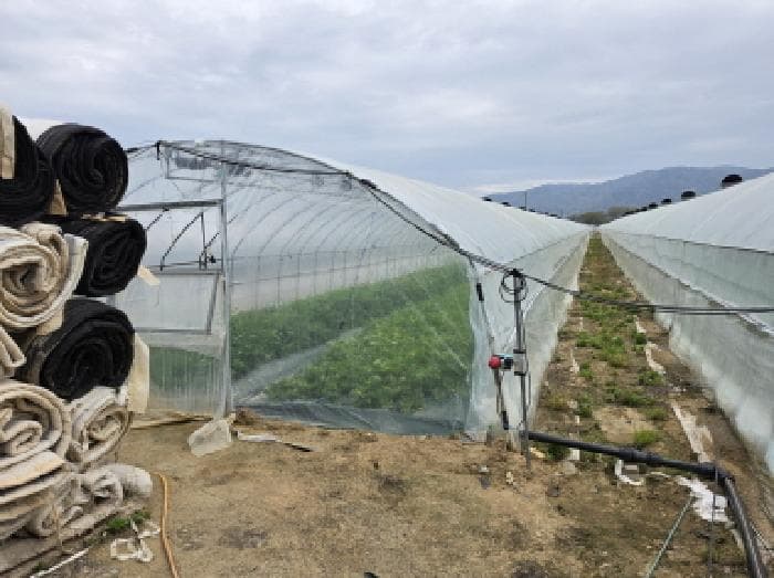 경상북도 성주군 성주읍 용산리 622