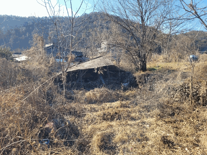 대구광역시 달성군 구지면 오설리 221