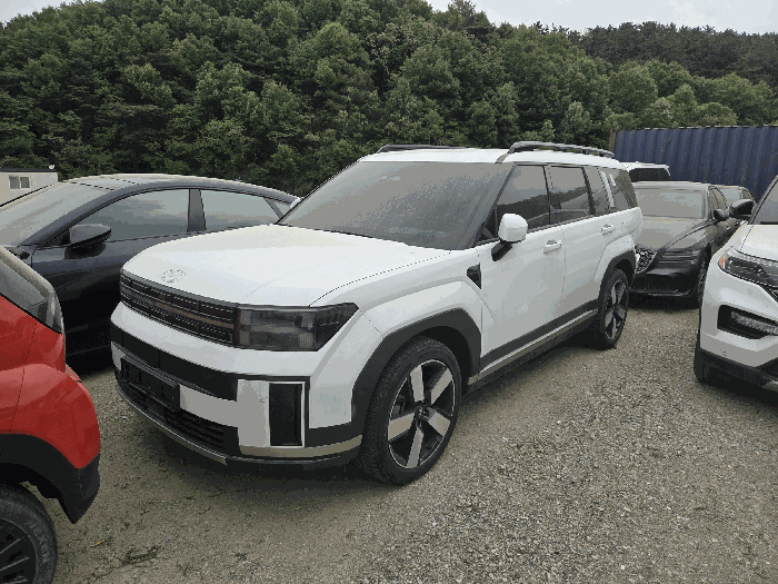 현대 싼타페 하이브리드(SANTAFE HYBRID) 2024년식