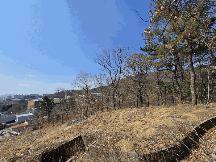 대구광역시 서구 상리동 산22