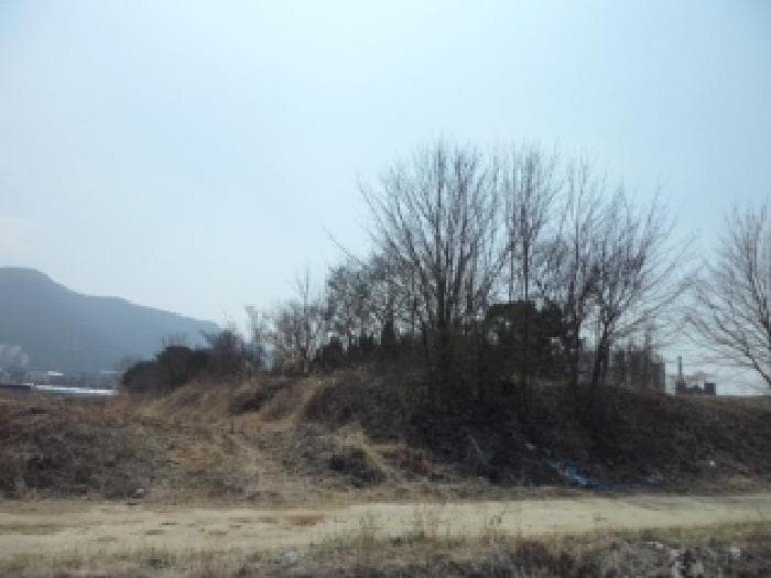 대구광역시 달성군 옥포읍 교항리 1584
