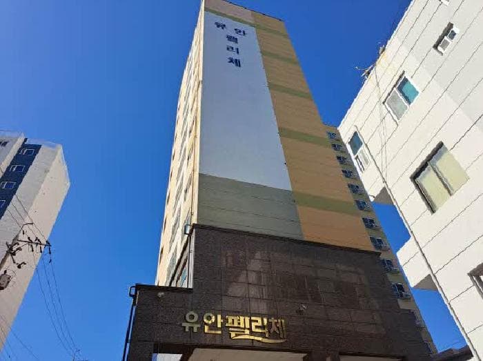부산광역시 영도구 태종로 390, 12층1203호 (청학동,유안펠리체)