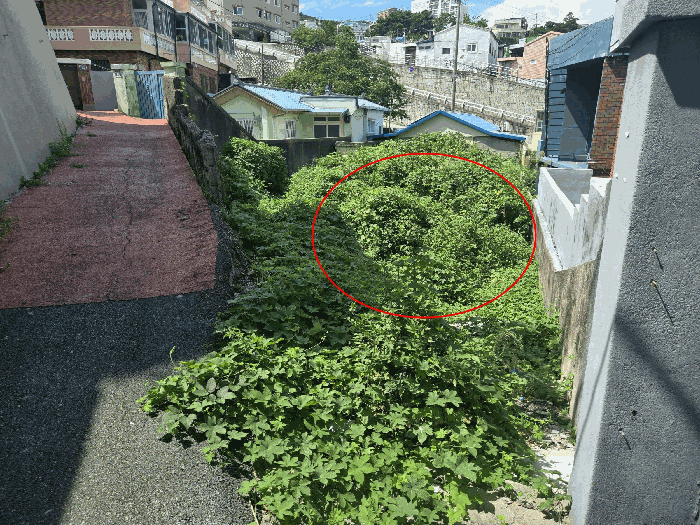 부산광역시 영도구 청학동 448-7