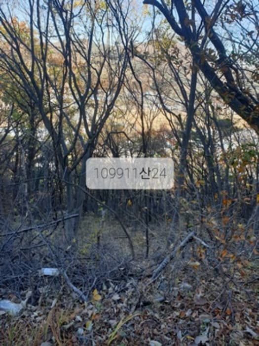 부산광역시 기장군 정관읍 달산리 산24-2