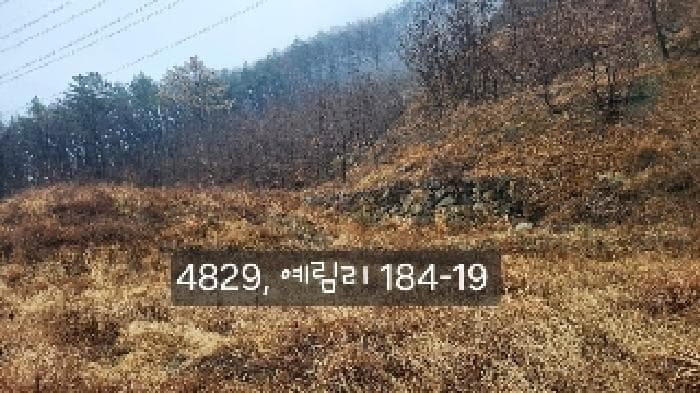 부산광역시 기장군 정관읍 예림리 184-19 제1동