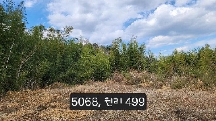부산광역시 기장군 일광읍 원리 499
