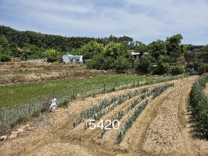 부산광역시 기장군 일광읍 청광리 335-1