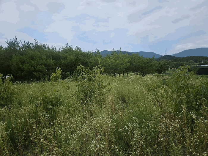부산광역시 기장군 정관읍 월평리 84-10