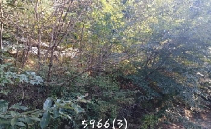 부산광역시 기장군 장안읍 용소리 산6