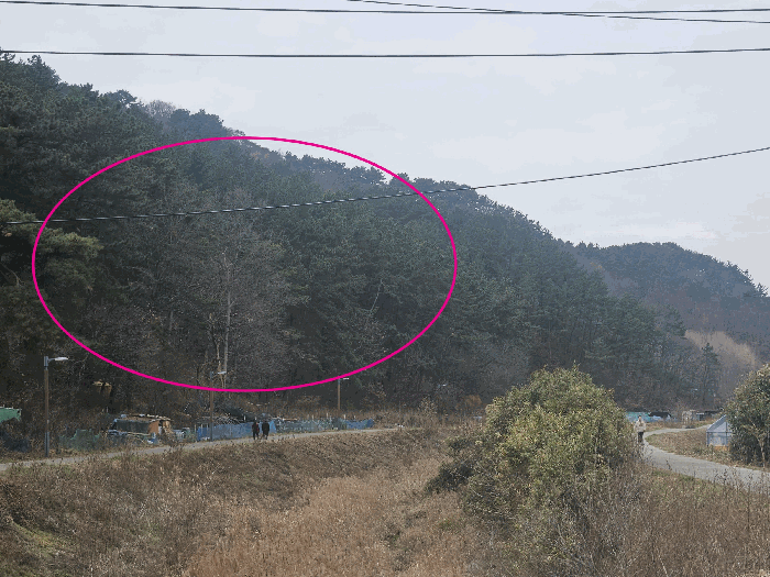 부산광역시 기장군 철마면 안평리 산109