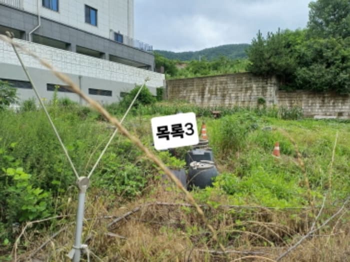 부산광역시 강서구 미음동 1527-8