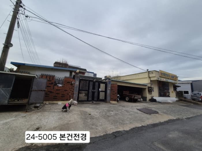 부산광역시 강서구 공항로743번길 5-54