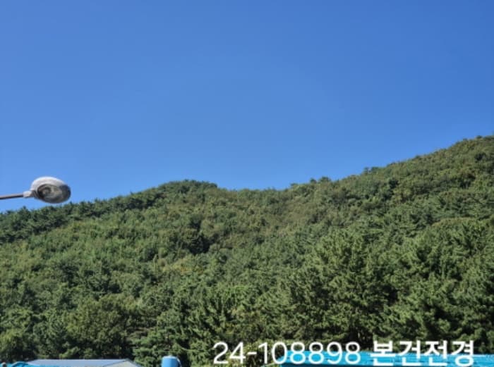 부산광역시 사상구 학장동 산114-1