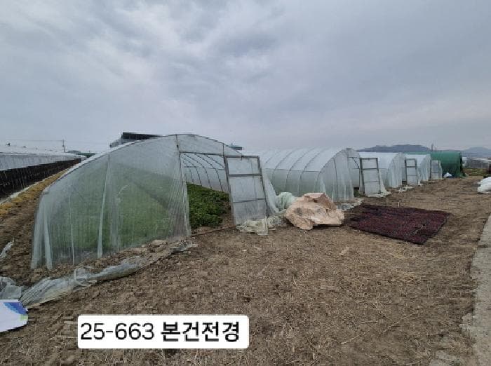 부산광역시 강서구 대저2동 5479