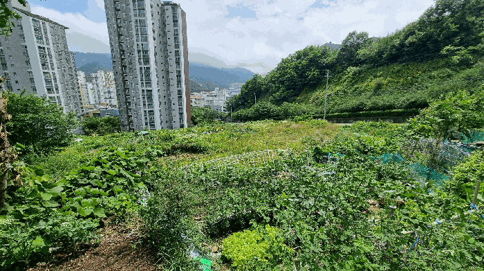 부산광역시 강서구 지사동 226-1