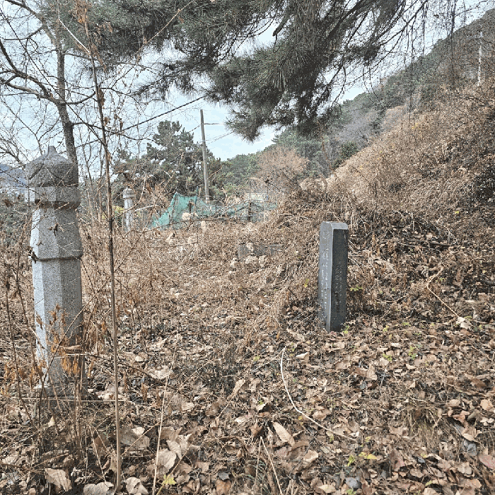 부산광역시 사하구 당리동 33-12