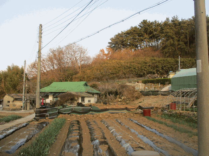 부산광역시 강서구 생곡동 1063-5