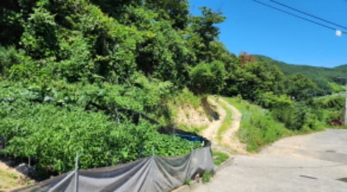 울산광역시 울주군 두동면 두동로 975-23 (1동)