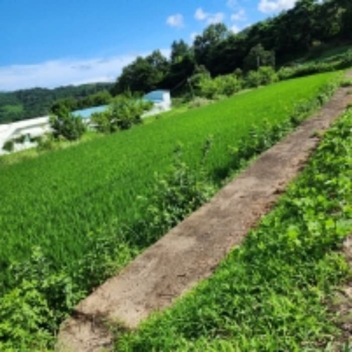 울산광역시 울주군 상북면 지내리 477