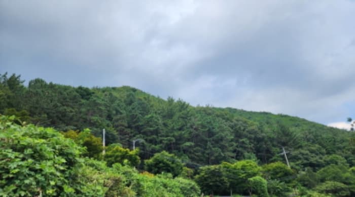 울산광역시 울주군 두서면 인보리 산64-1