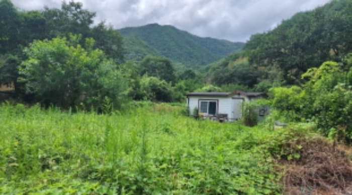 경상남도 양산시 원동면 대리 399