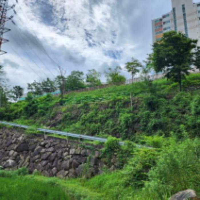 울산광역시 중구 성안동 574-2