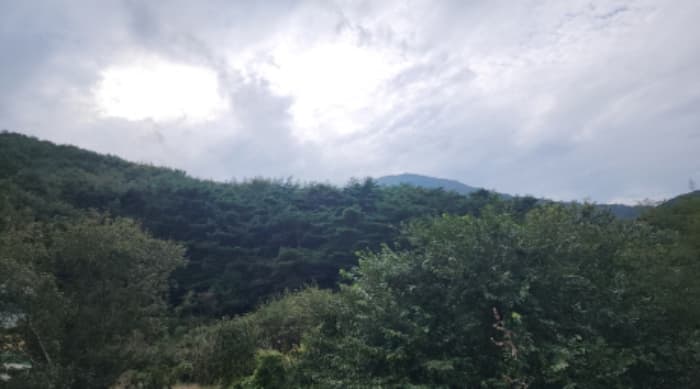 울산광역시 울주군 범서읍 척과리 산94
