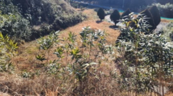 울산광역시 울주군 언양읍 직동리 2-4