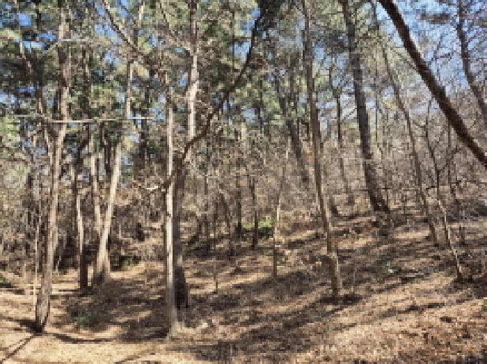 울산광역시 남구 선암동 산134-1