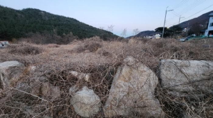 울산광역시 울주군 상북면 등억알프스리 501-2