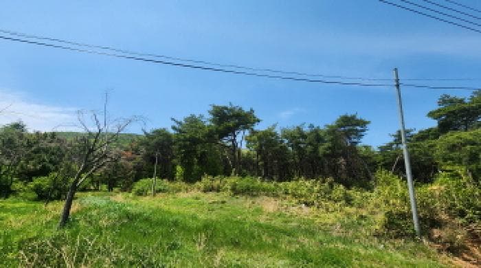 울산광역시 울주군 두서면 차리 산110-1