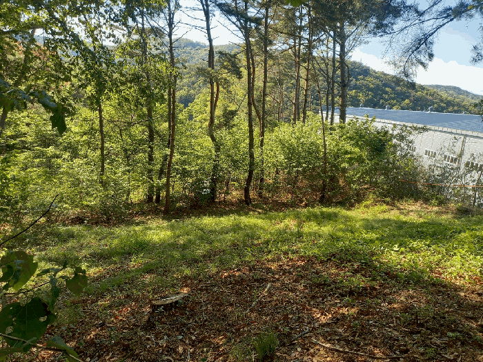 울산광역시 울주군 온양읍 외광리 산205