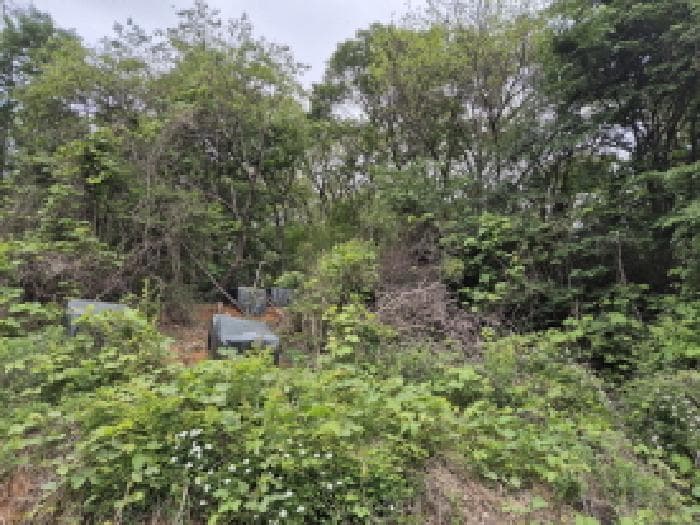 울산광역시 울주군 온산읍 삼평리 산82