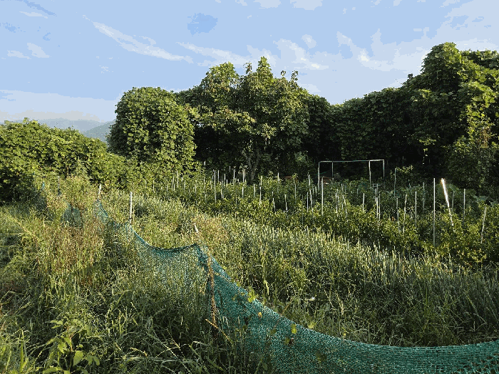 경상남도 양산시 상북면 외석리 102-1